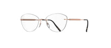 Silhouette The Timeless Visionary 5603