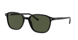 Ray-Ban Leonard RB 2193