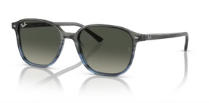 Ray-Ban Leonard RB 2193